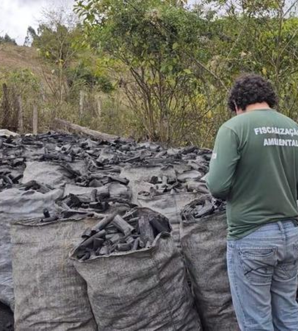 A cada hora, uma fiscalização contra o desmatamento ilegal é feita em Minas Gerais