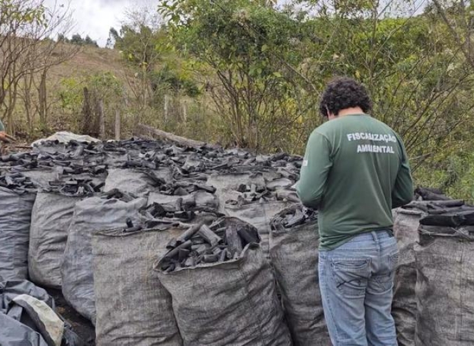 A cada hora, uma fiscalização contra o desmatamento ilegal é feita em Minas Gerais